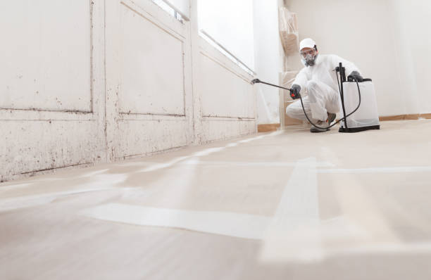 24/7 Emergency Mold Cleanup experts in Allen, TX