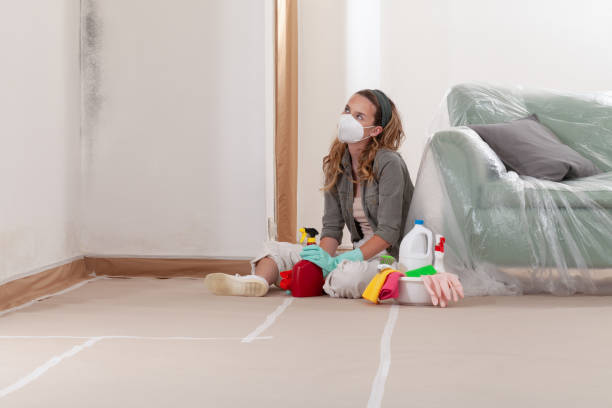 Reliable Mold Cleanup contractor in Allen, TX by WQB Mold Removal